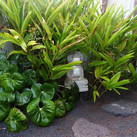 Couette-café El Inti